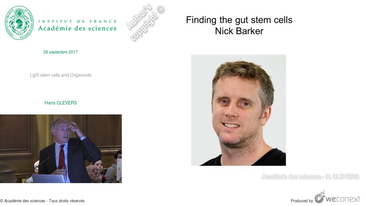 [Conférence] H. CLEVERS - Lgr5 stem cells and Organoids
