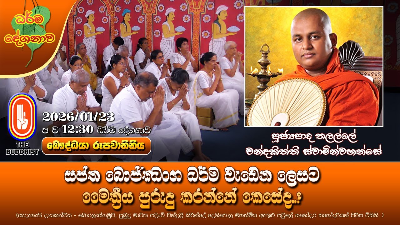 Ven Thalalle Chandakitthi Thero2026-01-23 සප්ත බොජ්ඣංග ධර්ම වැඩෙන ලෙසට මෛත්‍රීය පුරුදු කරන්නේ කෙසේද?