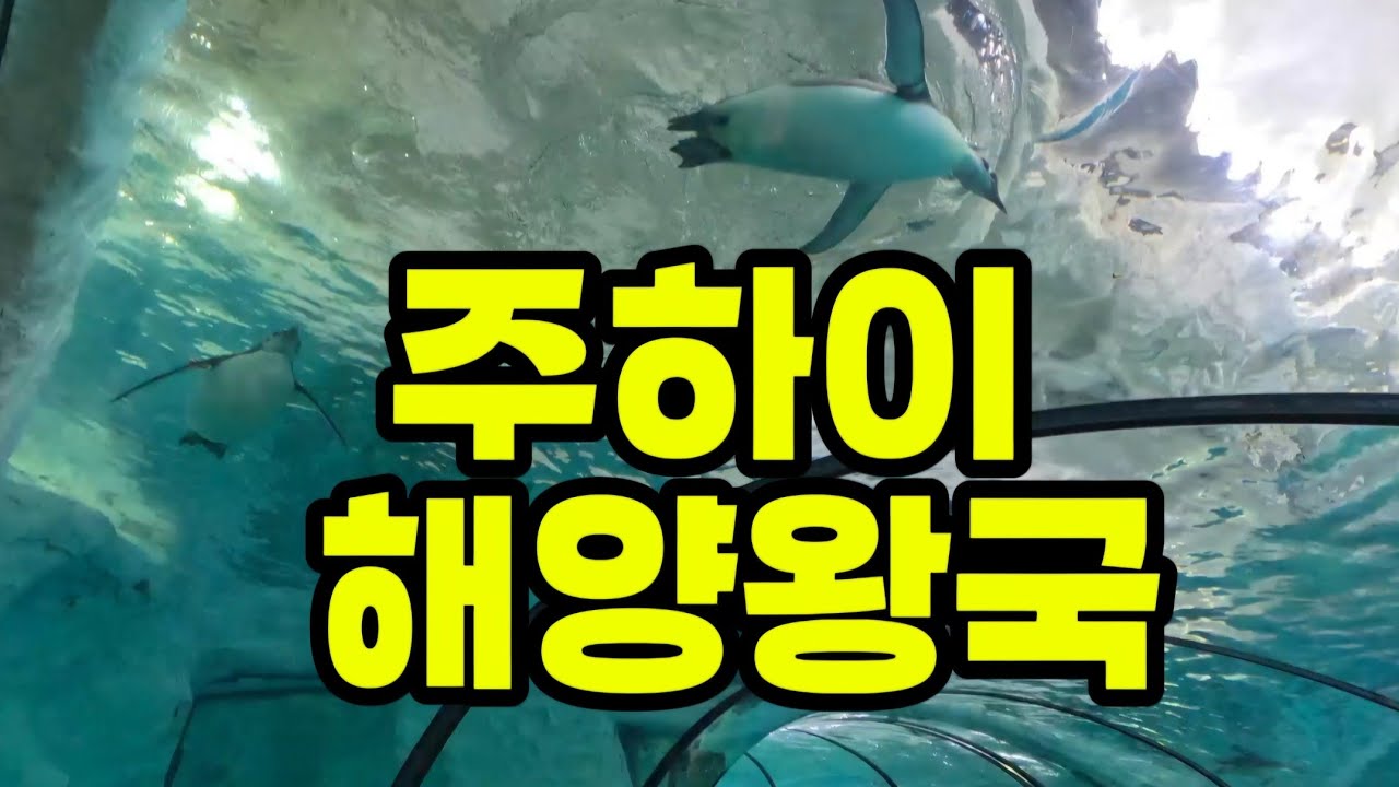 주하이 해양왕국 (아쿠아리움 + 테마파크)