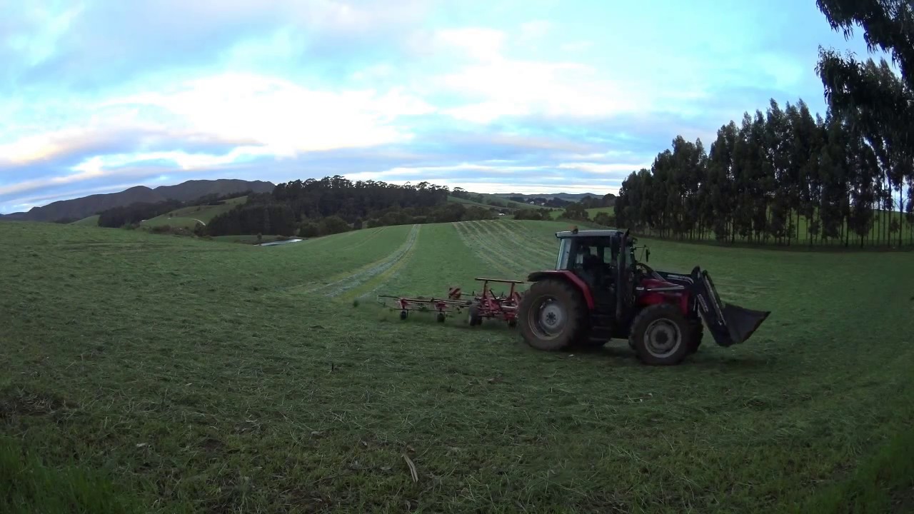 Tedding silage