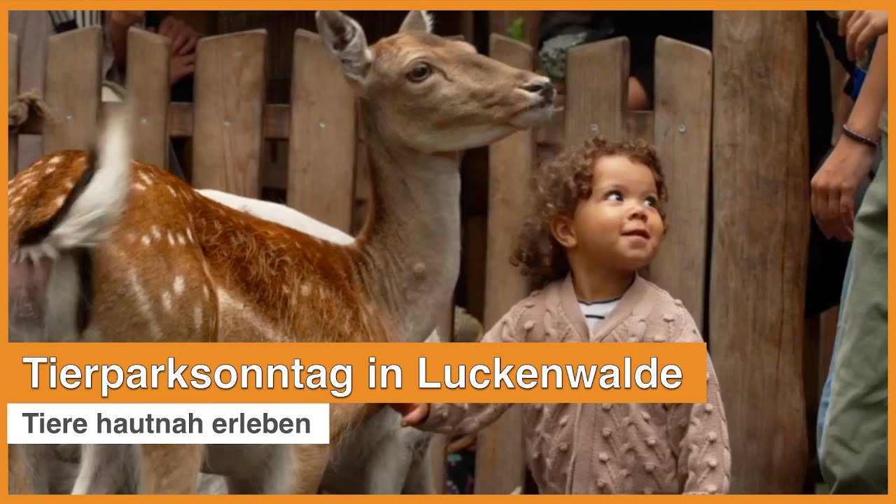 Tiere hautnah erleben | Tierparksonntag in Luckenwalde