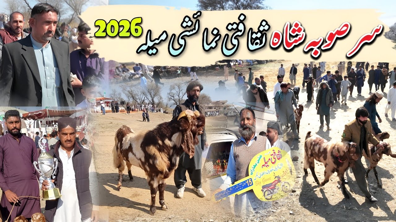 Sar Suba Shah Saqafti Numaishi Mela 2026 | Goats Mela | Punjab Old Traditional Culture
