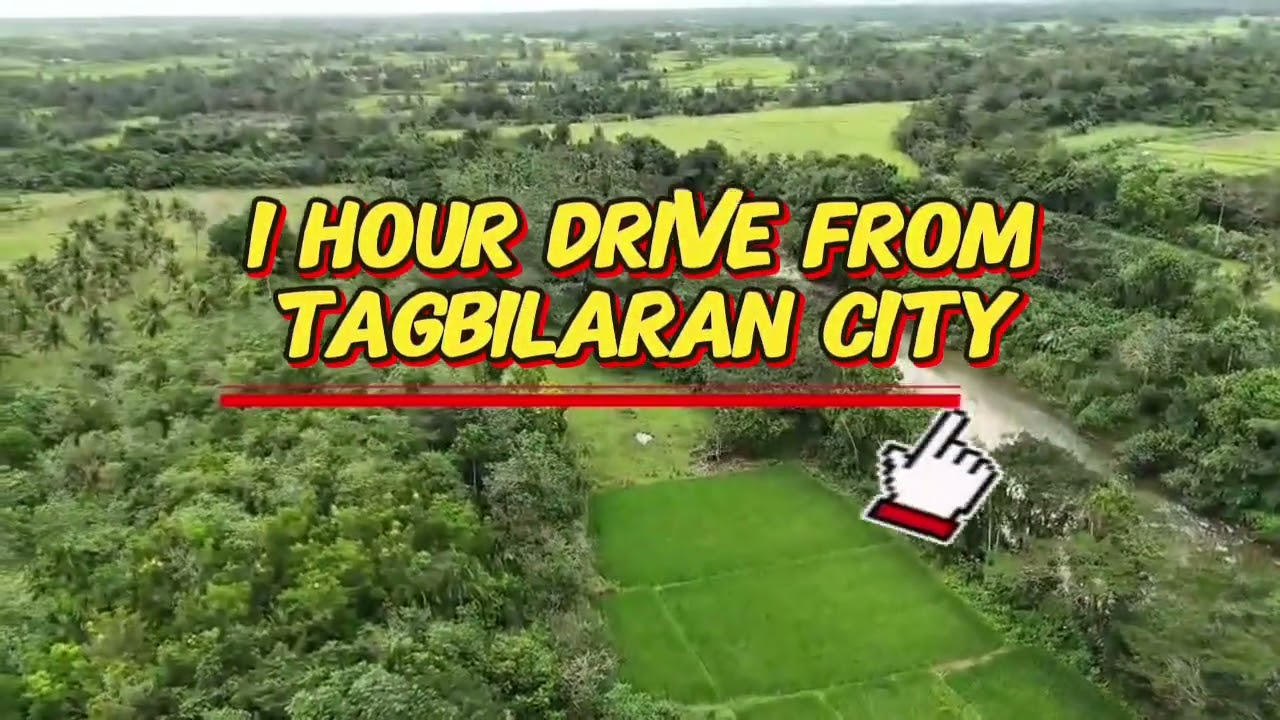 4.9 hectares clean title in Dagohoy Bohol Philippines 3.5m negotiable