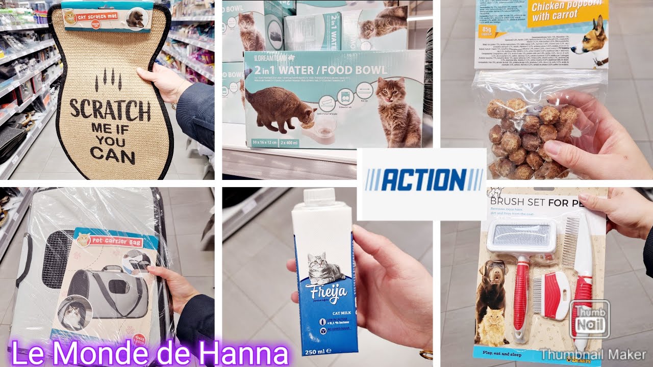 ACTION ARRIVAGE 01-04 ANIMAUX CHAT CHIEN 🐕 🐱 ACCESSOIRES