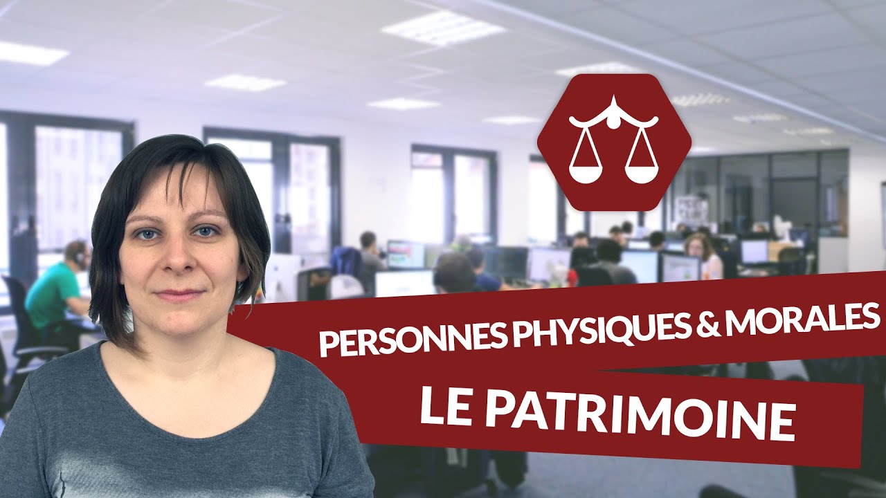 Personnes physiques et morales : le patrimoine - Droit - digiSchool