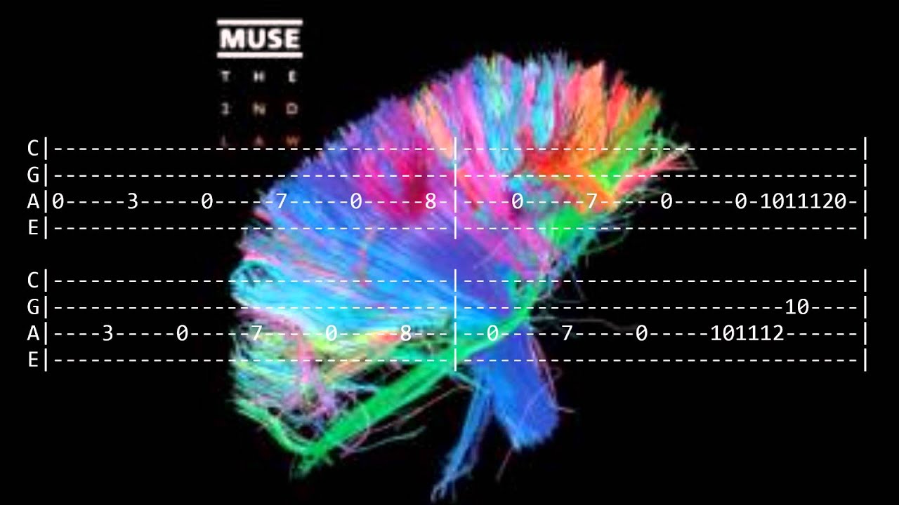Muse - Supremacy bass cover with TAB