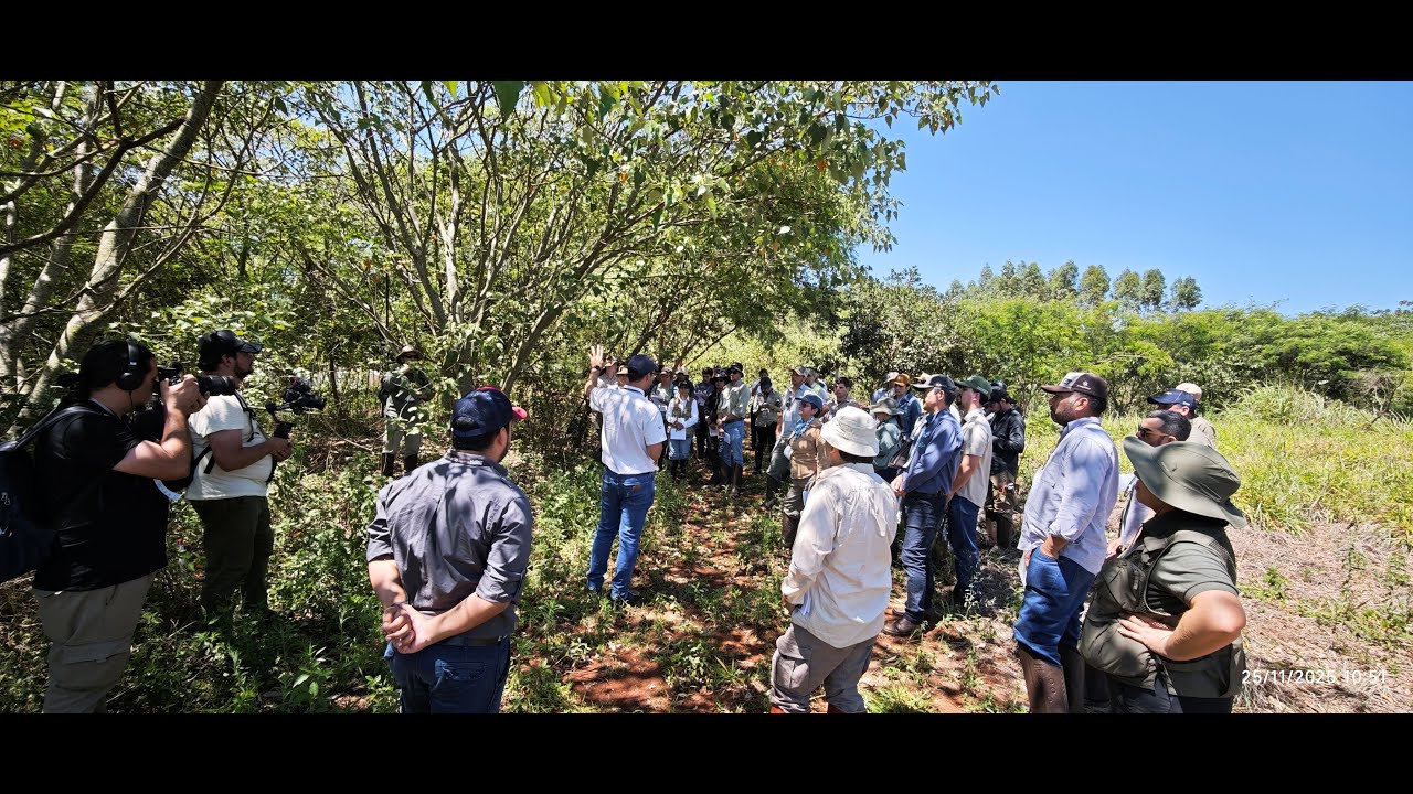 Building Resilient Future Forest Landscapes in Paraguay