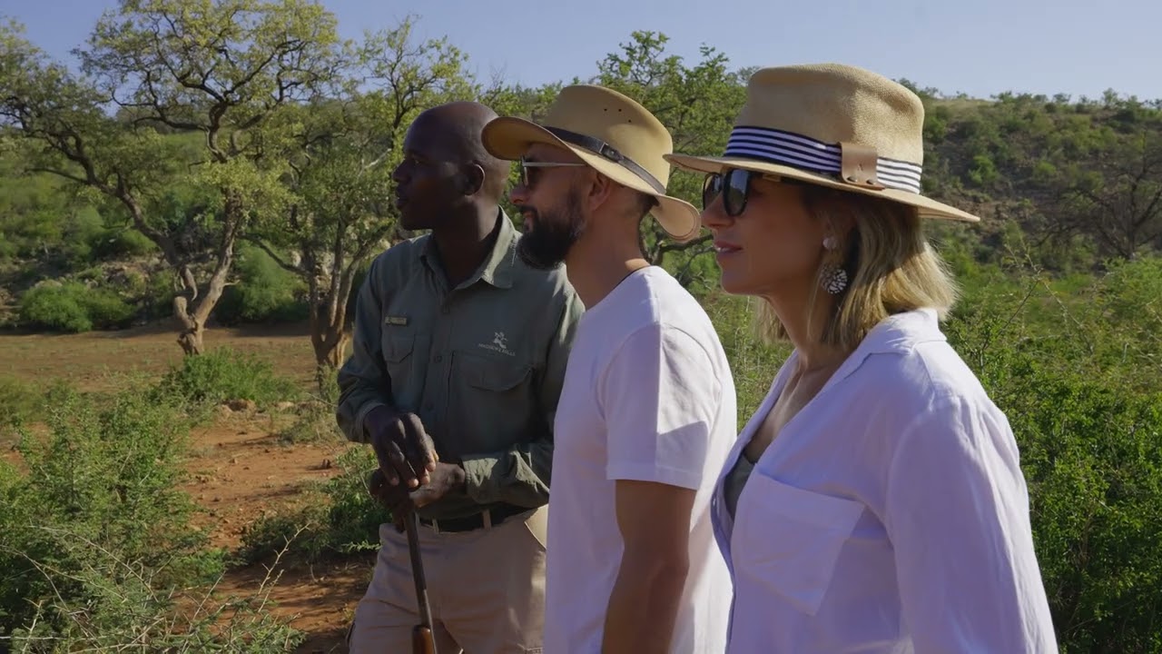 Madikwe Hills Private Game Reserve | South Africa Wildlife Safaris