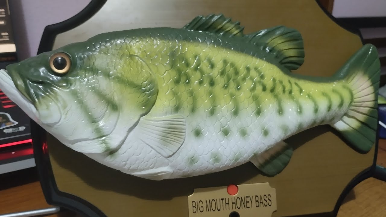 BIG MOUTH HONEY BASS+USER MANUAL+BOX(low bats slow head programing)