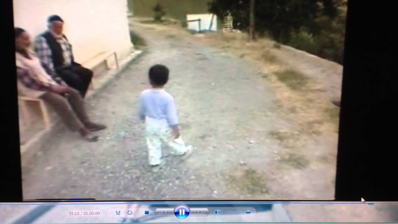 Ilgarlı koyu nosataji 1997