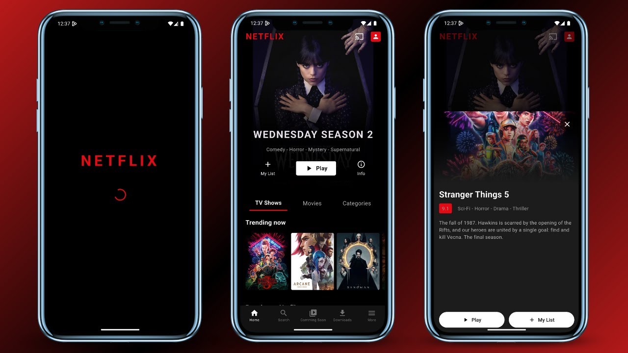 Netflix Clone in Flutter – Step by Step