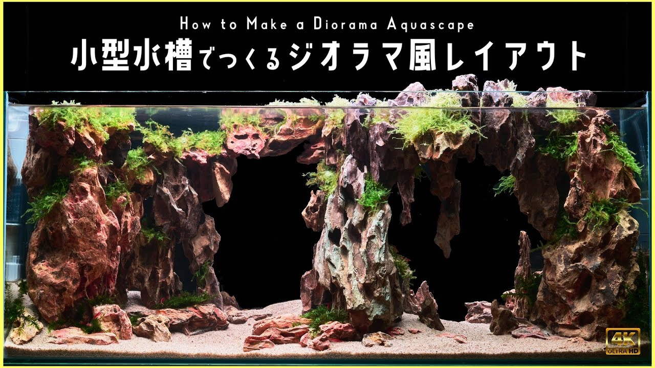 【アクアリウム】モスと気孔石だけを使ったジオラマ水槽｜Aquarium Kind #38｜レイアウト/黄虎石/Dragon Stone/Hardscape waterplants Setup