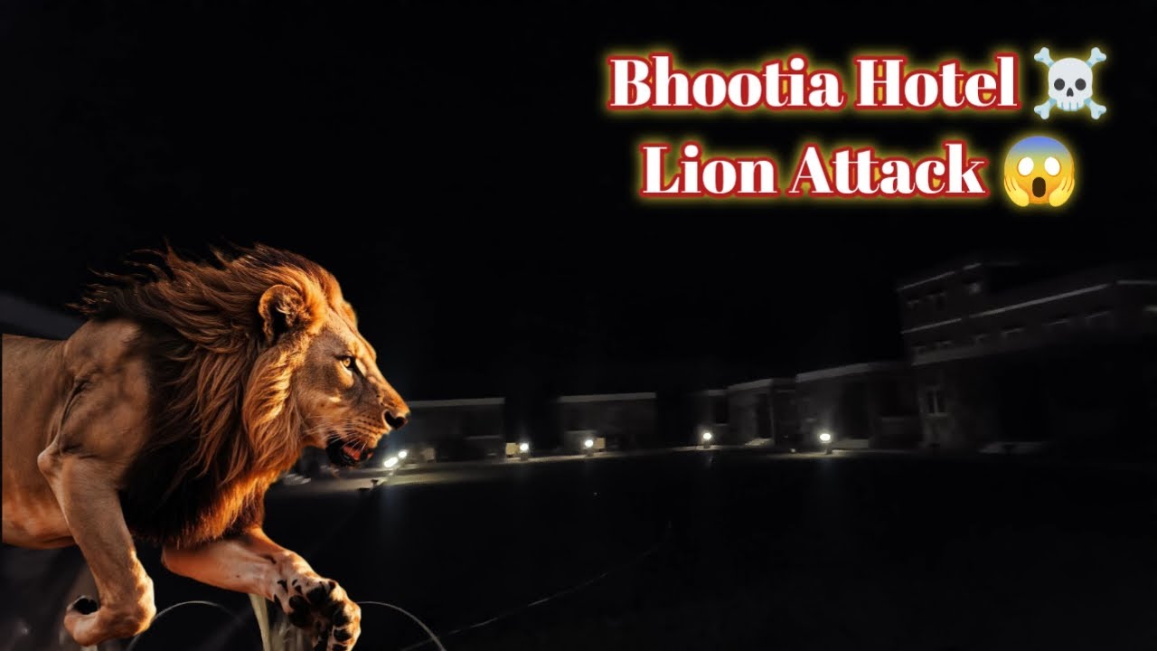 Lion Attack in Bhootia Hotel - Bikaner || PAGAL LOG