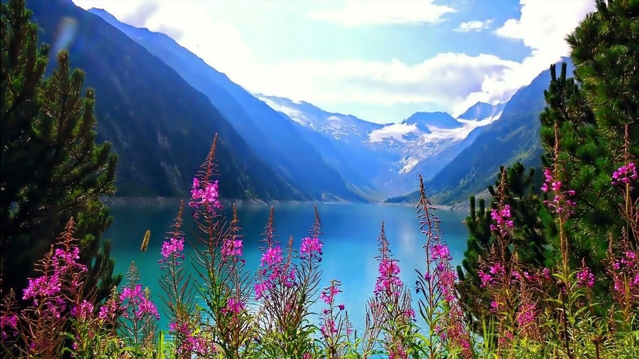 Willi Boskovsky - Beethoven Romance No. 2 in F Major, Op. 50
