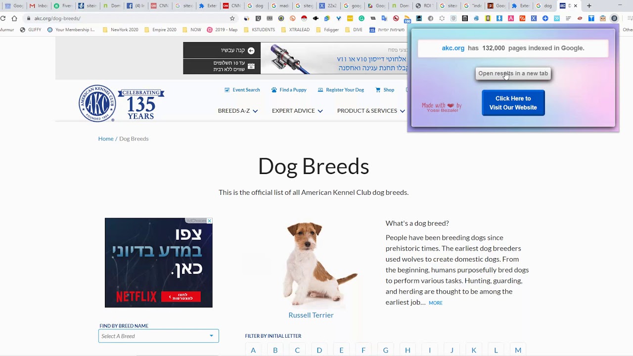 Google Indexed Pages checker