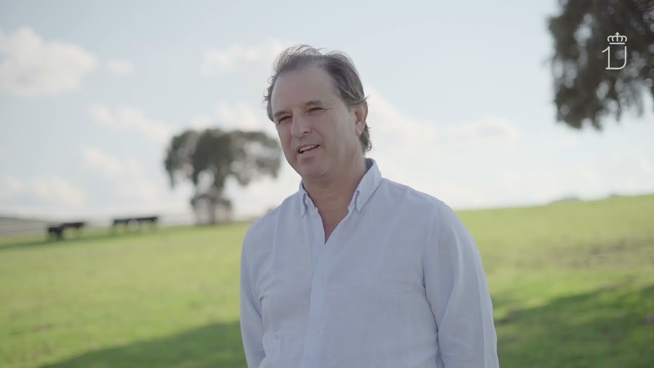 Selecci&oacute;n gen&eacute;tica del toro bravo