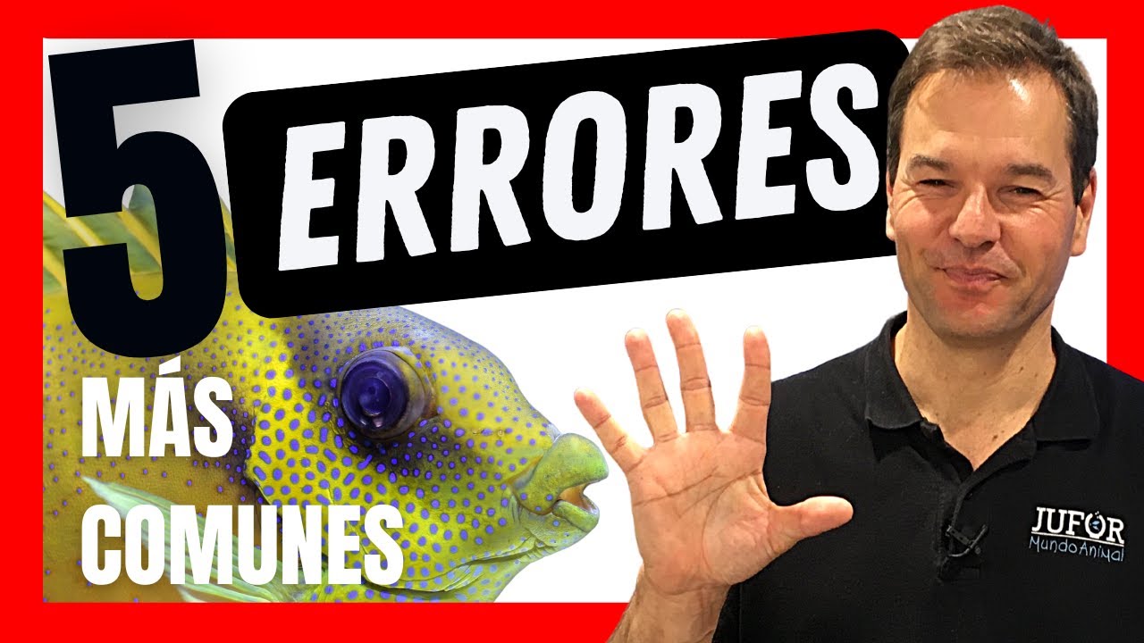 5 cosas que no debes hacer con tu acuario marino ❌