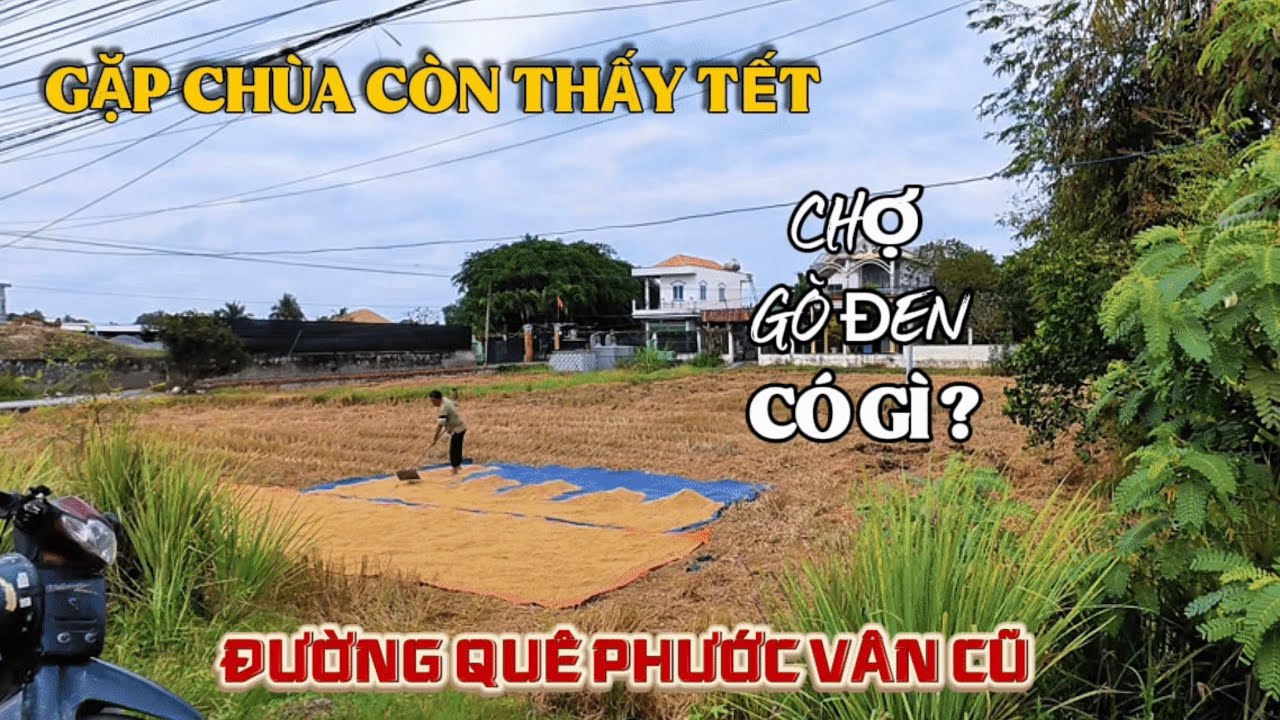 Đường Về Phước Vân | Nhiều Gà Vịt Phía Sau Chợ Gò Đen | Gặp Ngôi Chùa Giữa Ruộng Còn Không Khí Tết.
