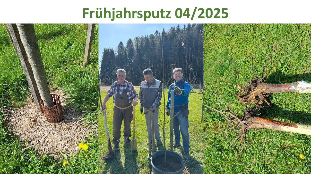 Jahresrückblick 2025 - Unsere Aktivitäten