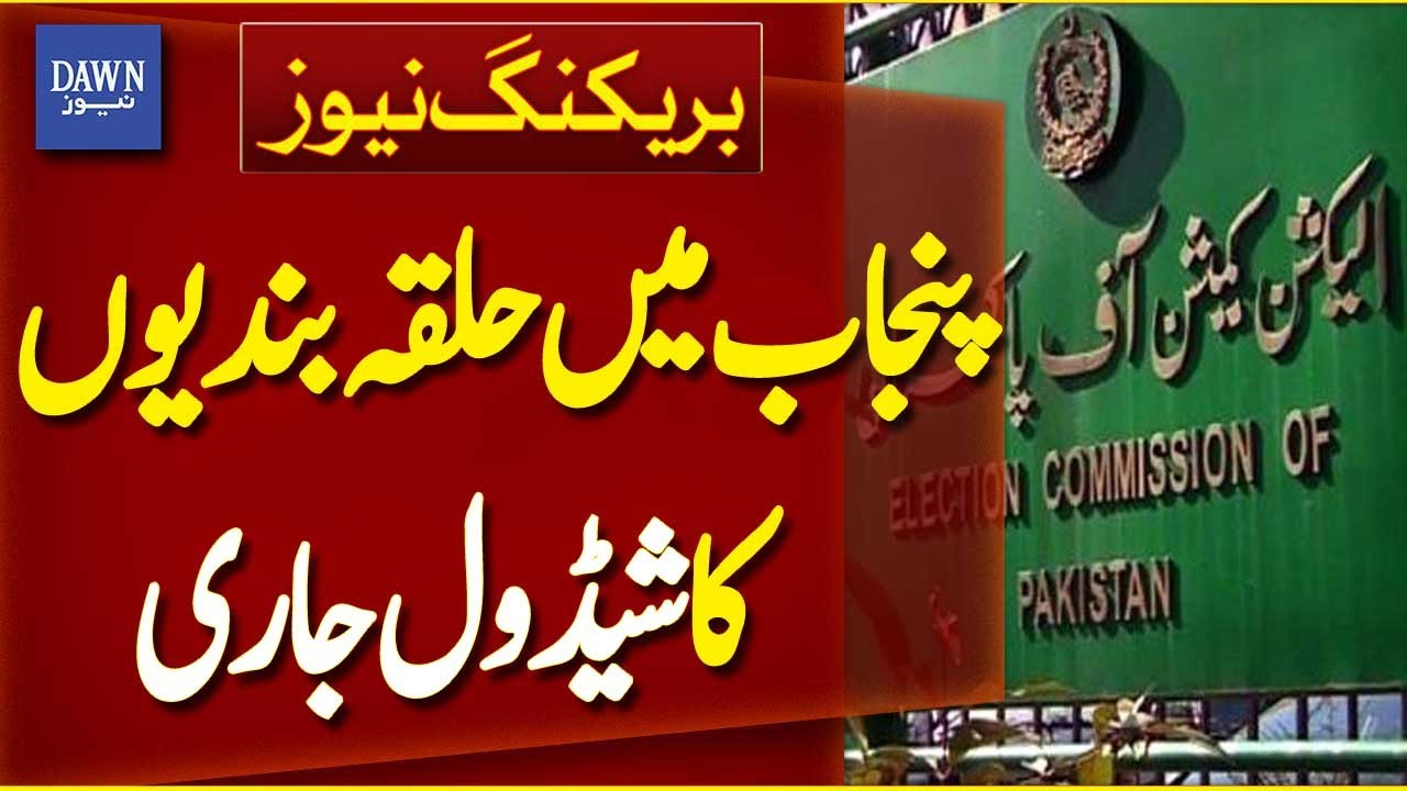 Election Commission Releases Official Schedule For Delimitation In Punjab | Breaking News| Dawn News