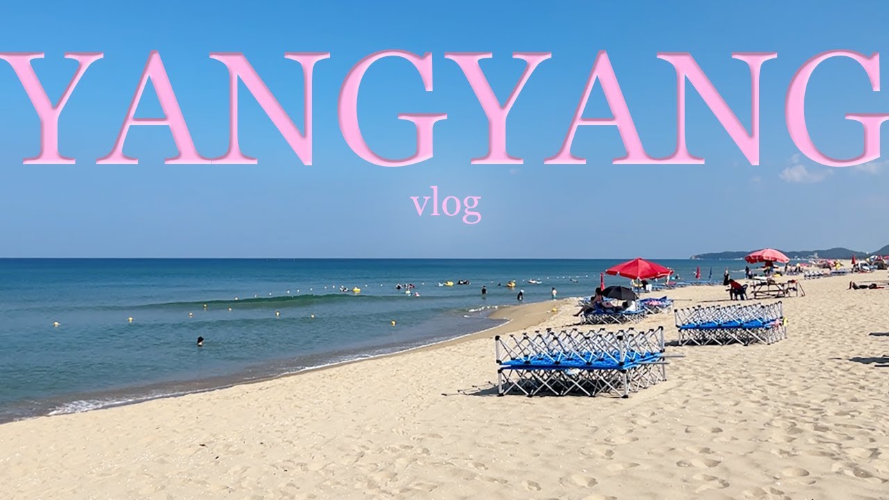 🌊양양 당일치기 여행 vlog👫 (오징어순대/놀자대게본점/여운포리빵집/동호해변)