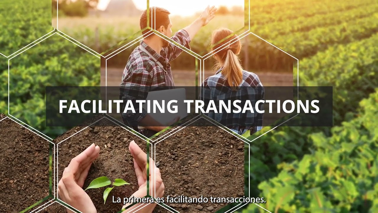 GrainChain Extended Overview 2023 (Subtitulos en Espanol)