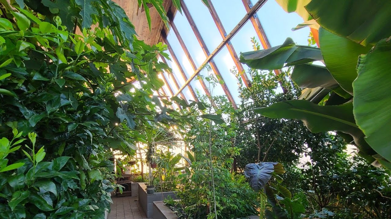 Episode #177: How does our tropical greenhouse work?