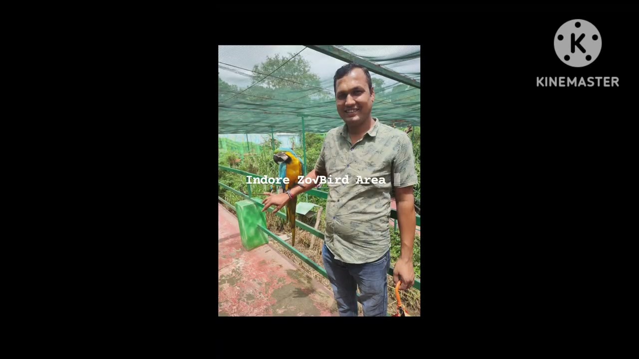Indore Zoo Bird sanctuary Area Ultimate place #indorezoo#viral #trending #birds