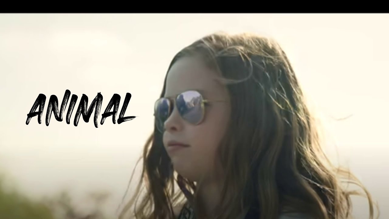 Animal ( Salish diss track ) Official music video lyrics.