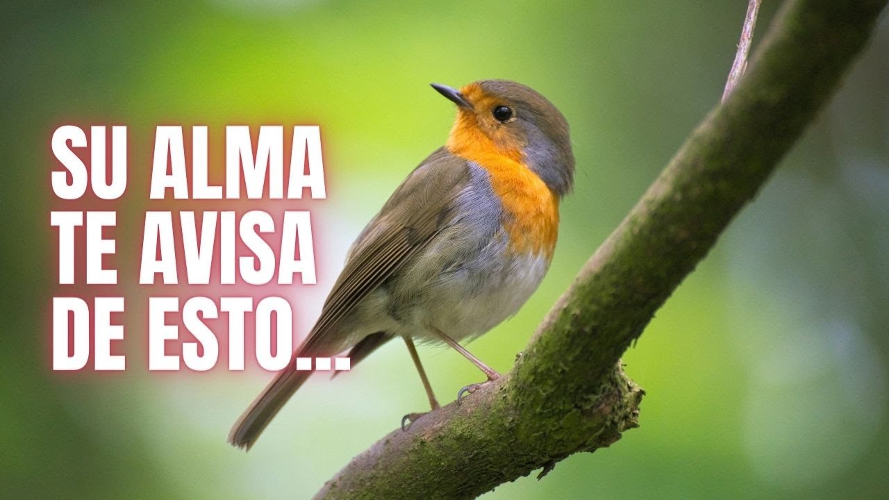 TU SER QUERIDO TE AVISA DE ESTO💌