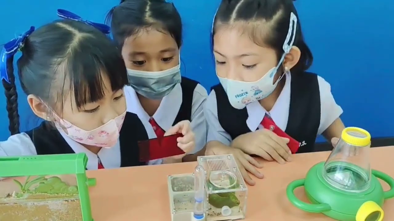 โรงเรียนประชาสงเคราะห์ โดยคุณครูบุญสิตา ประภาสะวัต เรื่องมด
