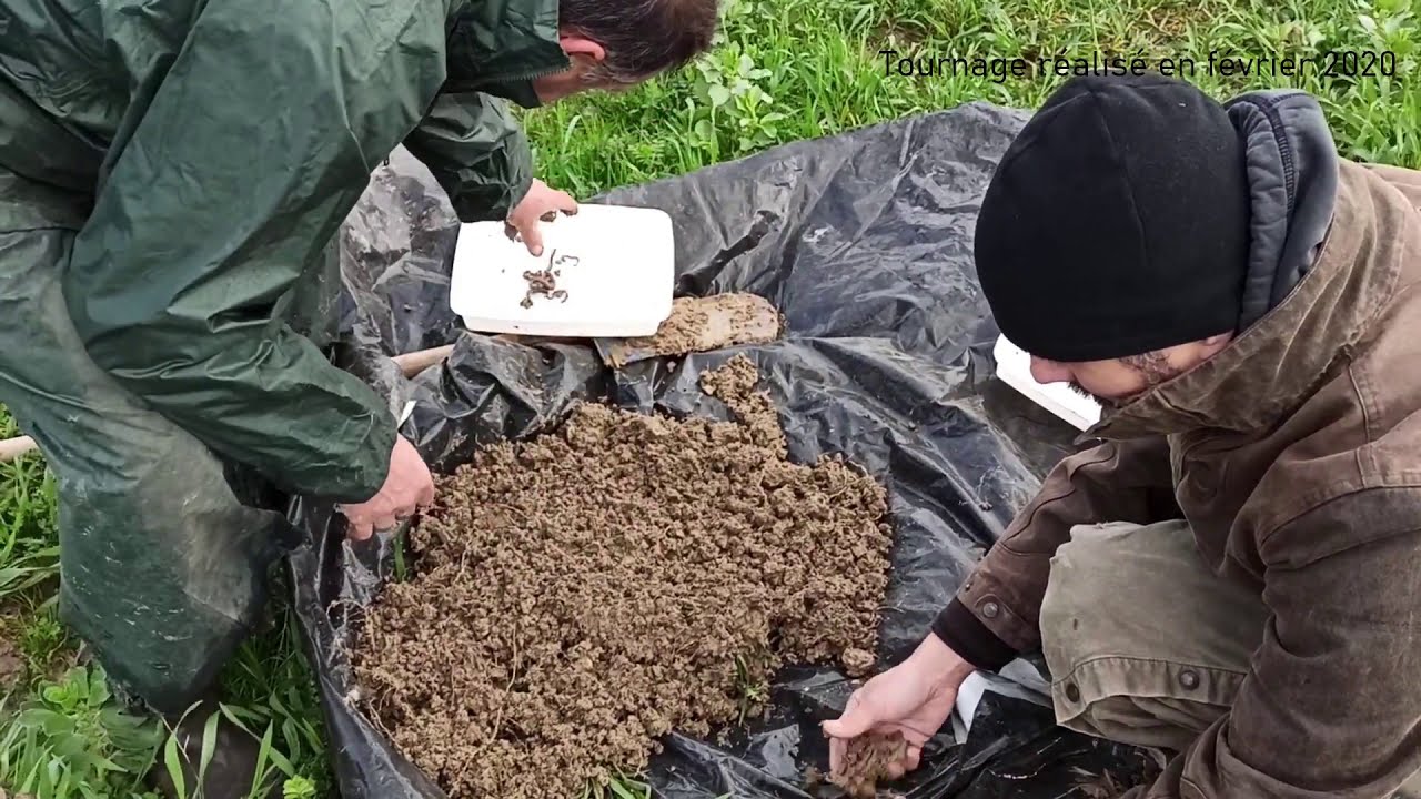 Présentation test bêche vers de terre