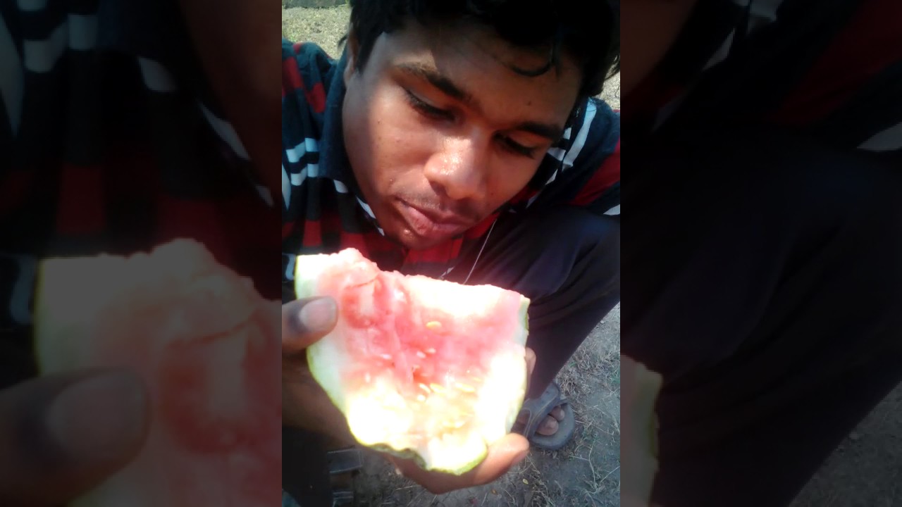 Koolu Koolu puchakaya