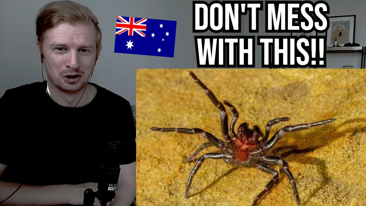 Reaction To 10 Most Dangerous Animals In Australia