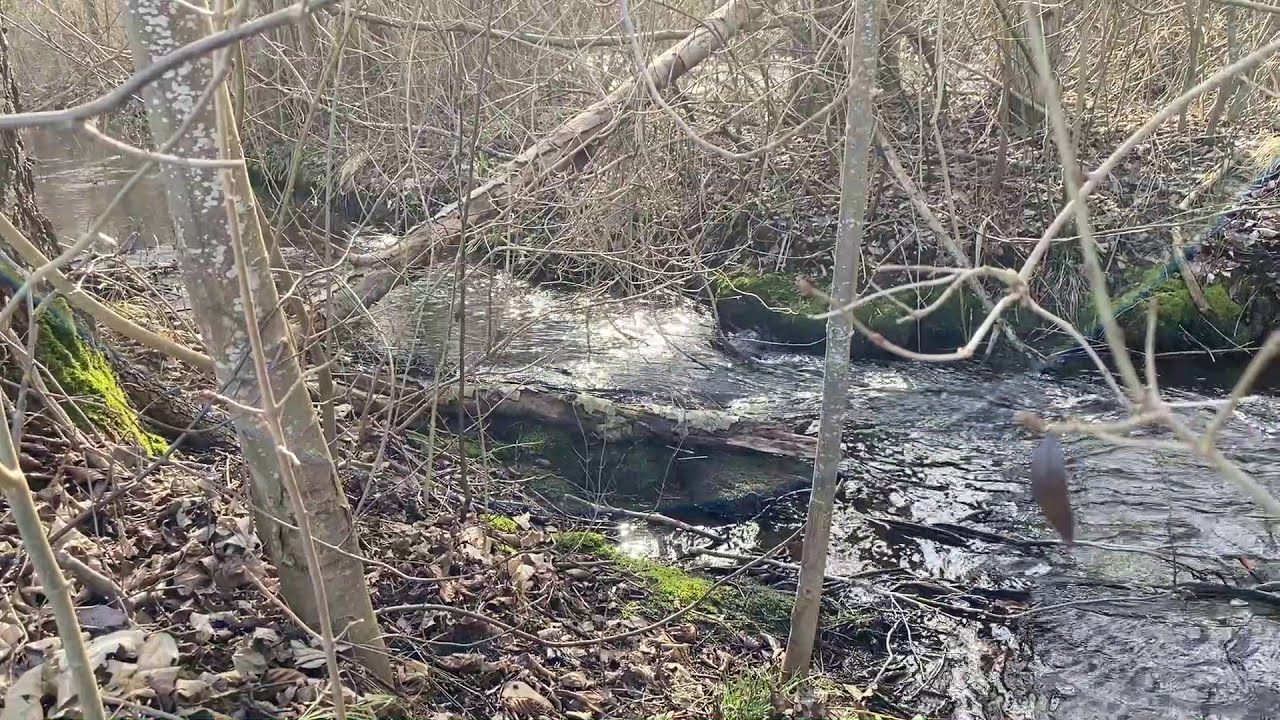 Ruhiges Wasserpl&auml;tschern vom Bach - l&auml;sst Tinnitus und Stress schnell vergessen
