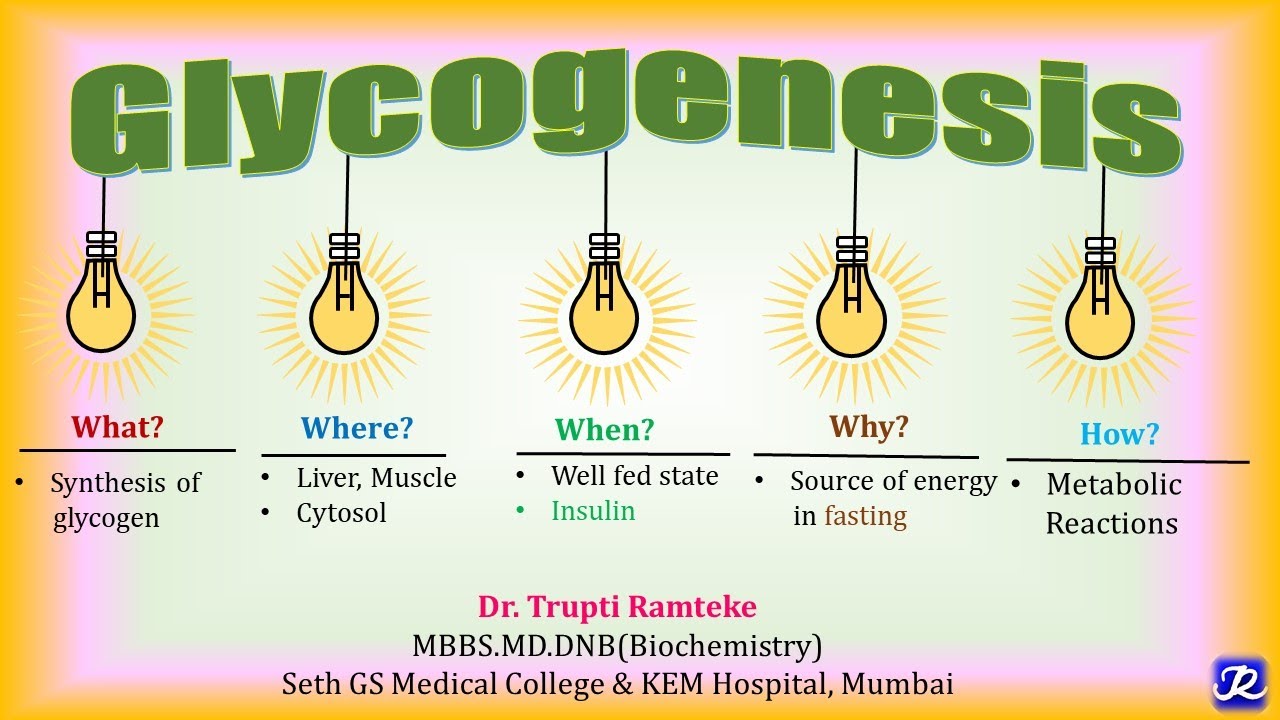 12: Гликогенез | Метаболизм углеводов | Биохимия | N'JOY Biochemistry