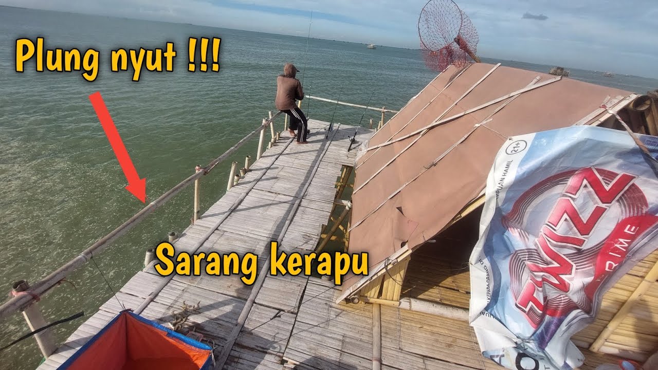 Baru juga ditaro !!!  langsung di sambar kerapu - bagan jajang cinamprak #mancing #mancingbagan #fyp