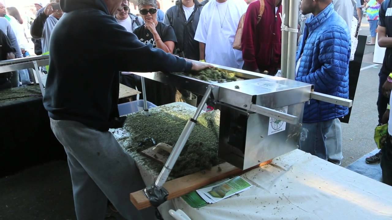 San Francisco Cannabis Cup