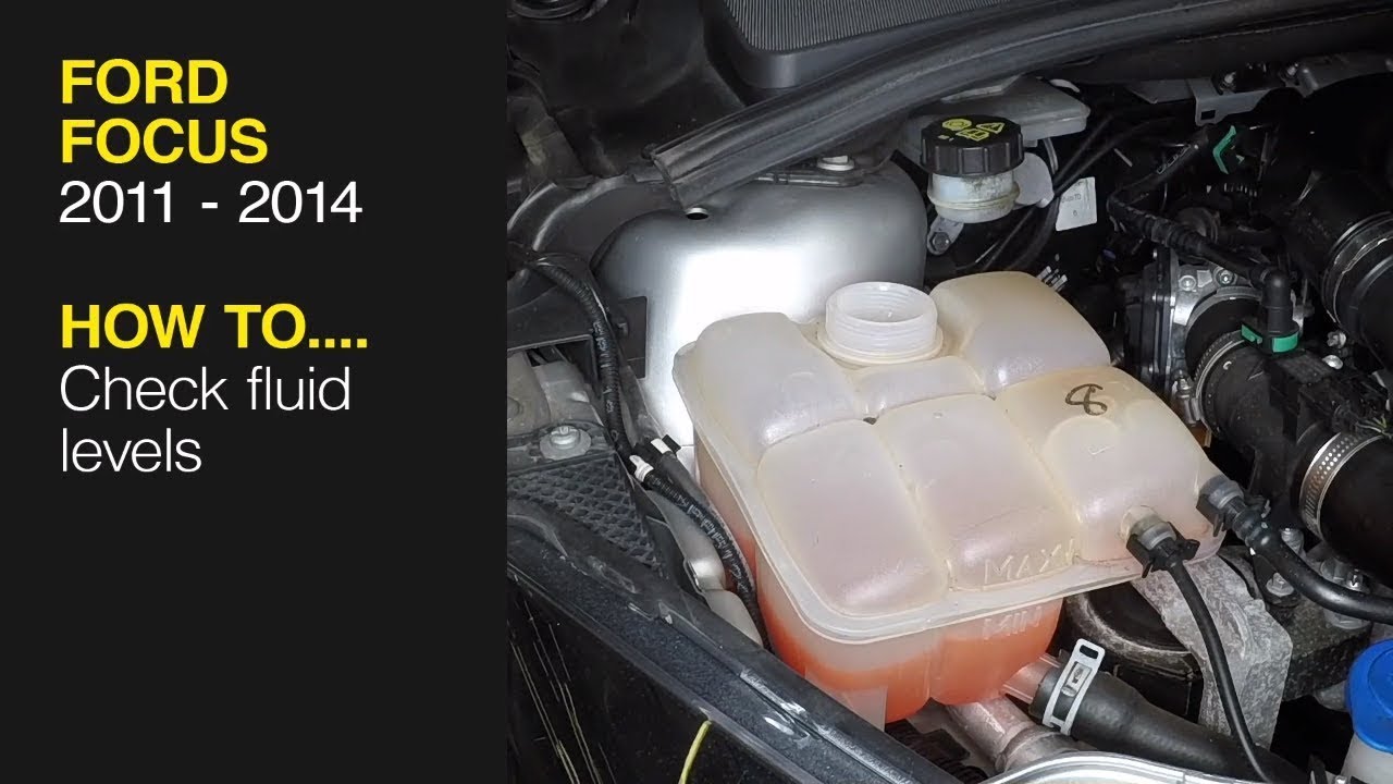 How to check the fluid levels on a Ford Focus 2011 to 2014