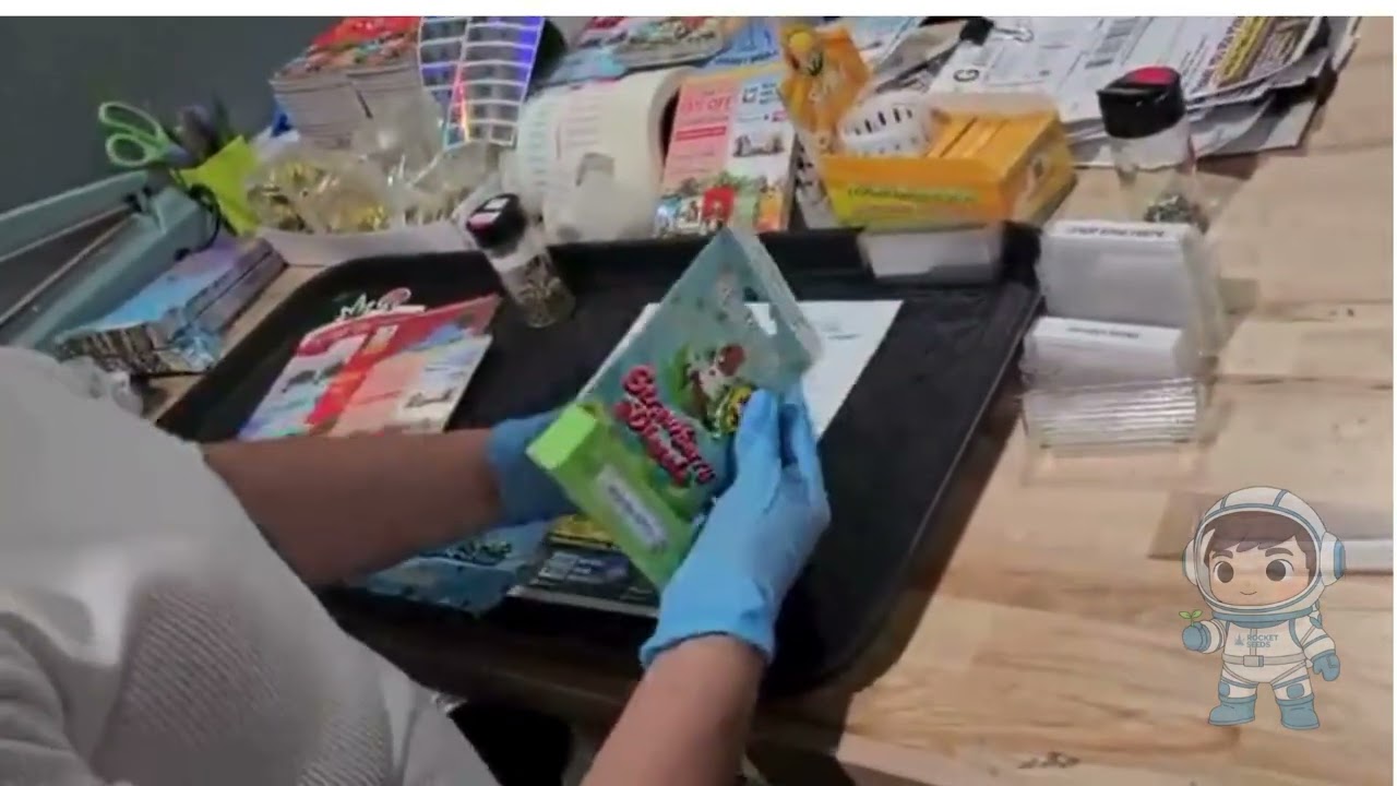 Mini vlog: A day in a life at Rocket Seeds