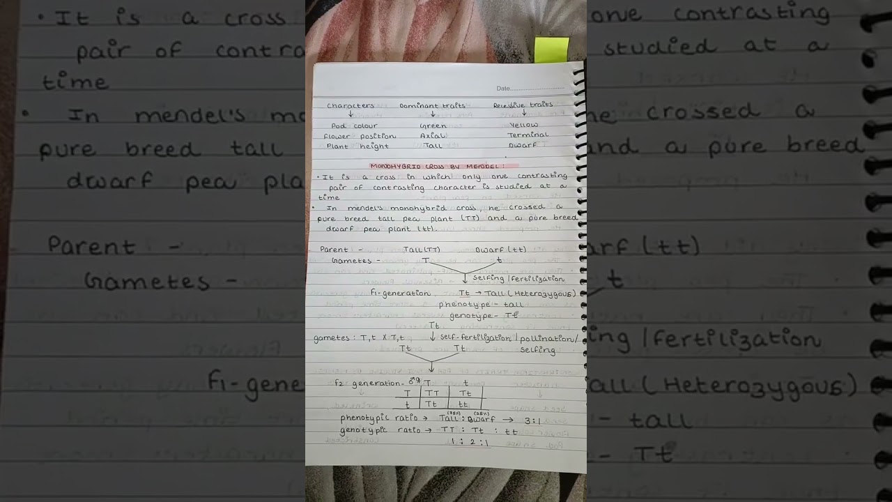 &ldquo;Class 10 Science Heredity Notes &ndash; Easy aur Full Marks Wale 🧬✨&rdquo;#Class10 #ScienceNotes #Heredity