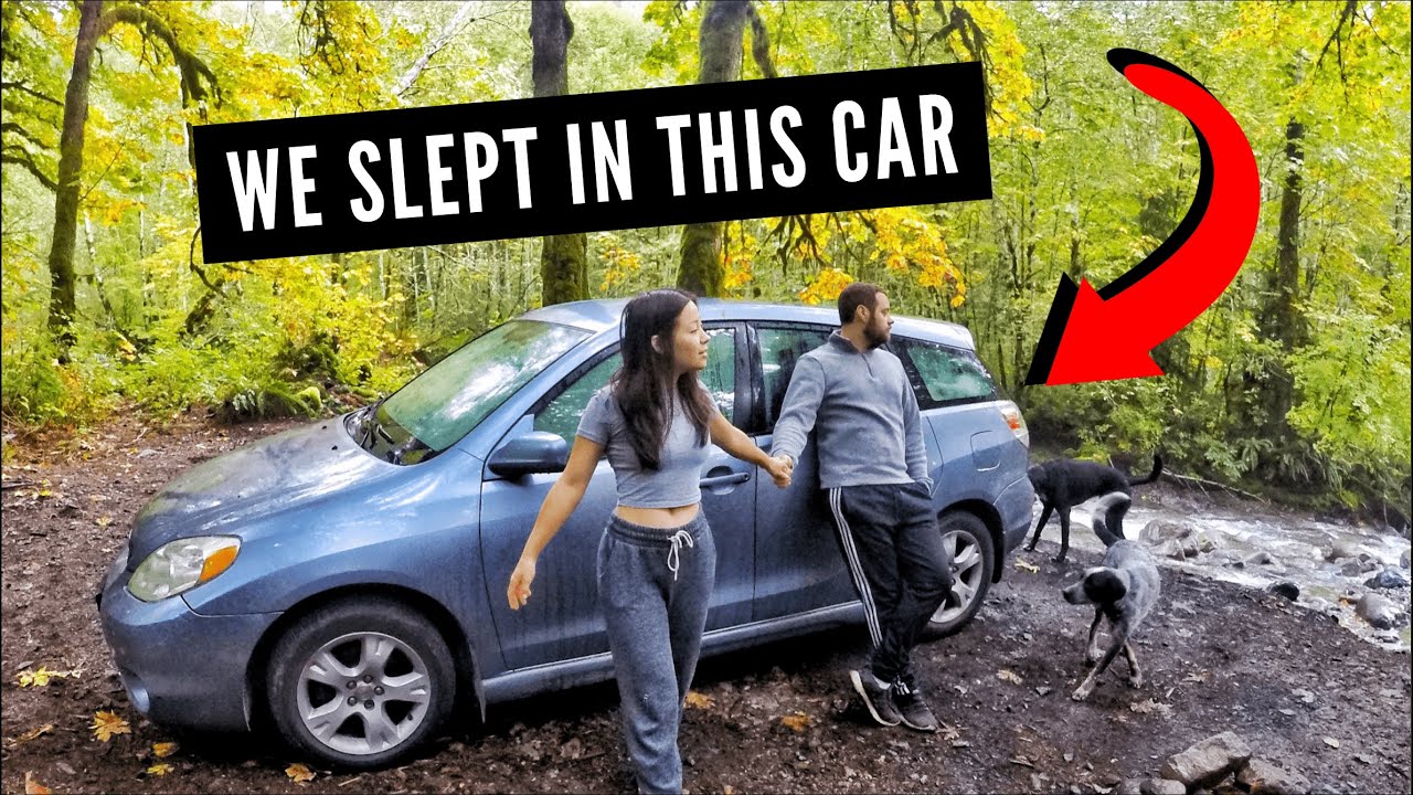 COMPACT CAR CAMPING WITH 2 DOGS