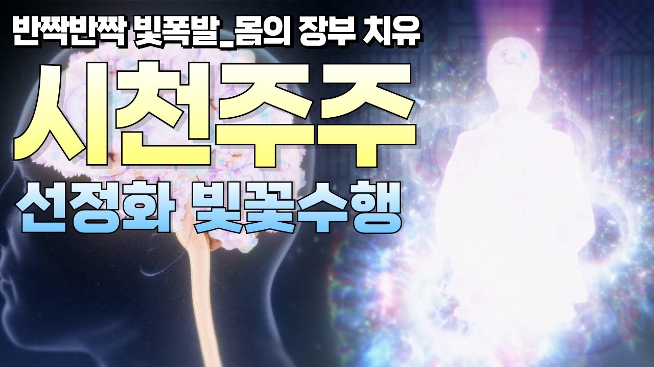 [선정화 빛꽃수행 : 반짝반짝 빛폭발] 몸의 장부 치유 : 시천주주 주문수행