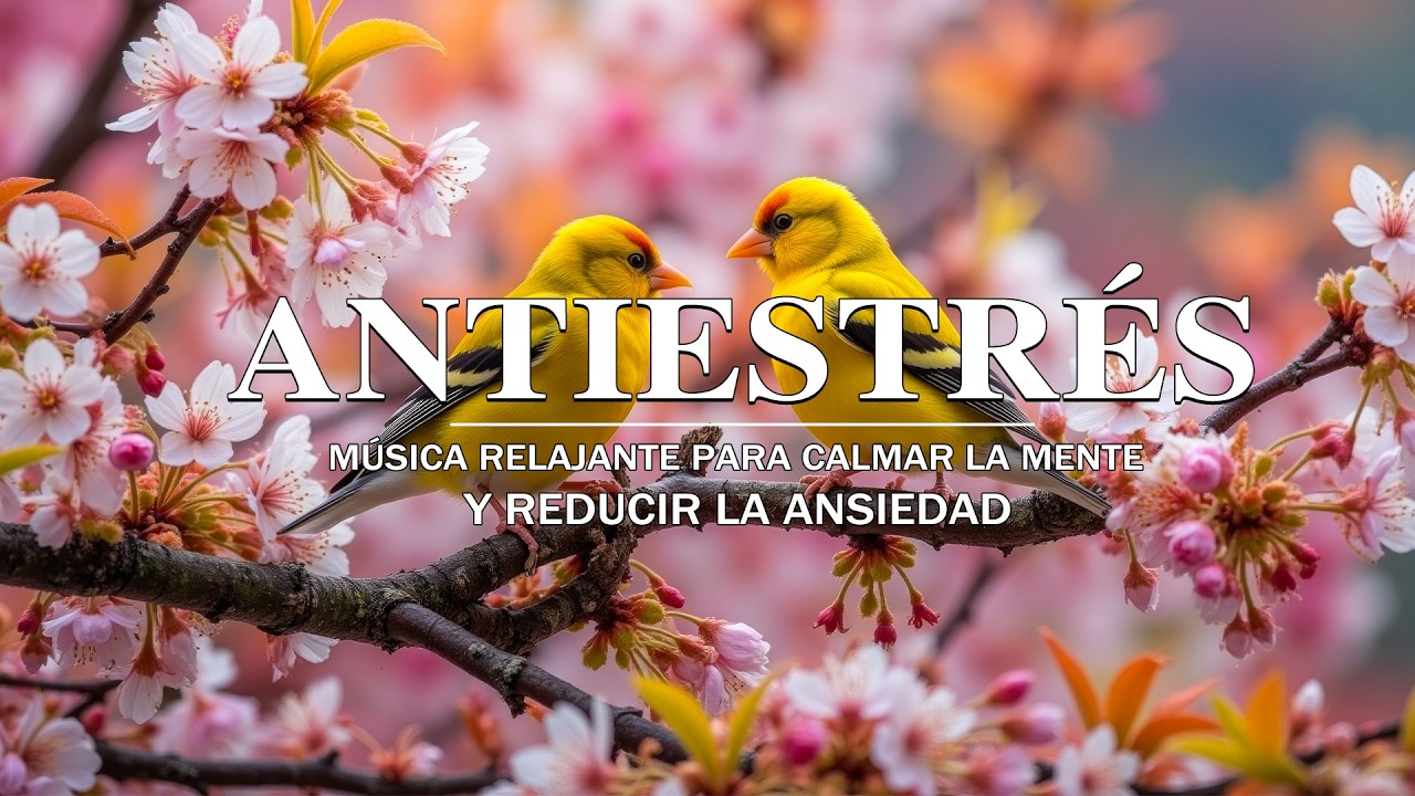 ANTIESTRÉS 💜 Música Relajante para Calmar la Mente y Reducir la Ansiedad - Peaceful Worship Piano