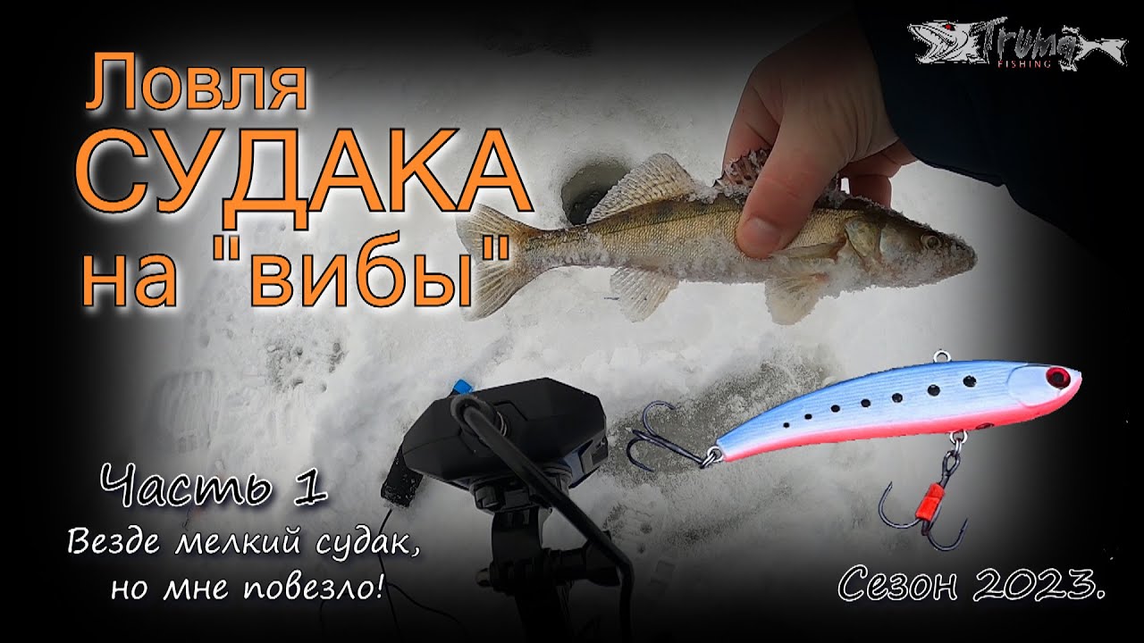 Ловля судака на вибы. Везде мелкий судак, но мне повезло!!! Часть 1. Сезон 2022-23