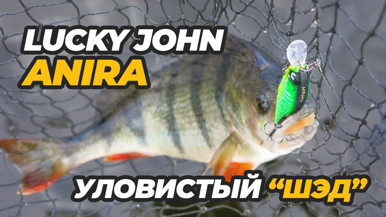 Lucky John Anira – уловистый 