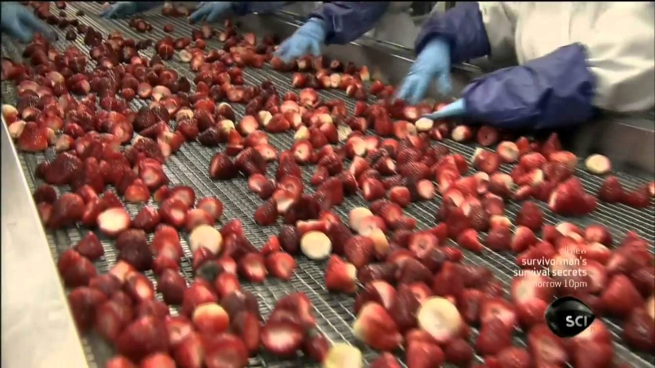 How It's Made - Frozen Fruit