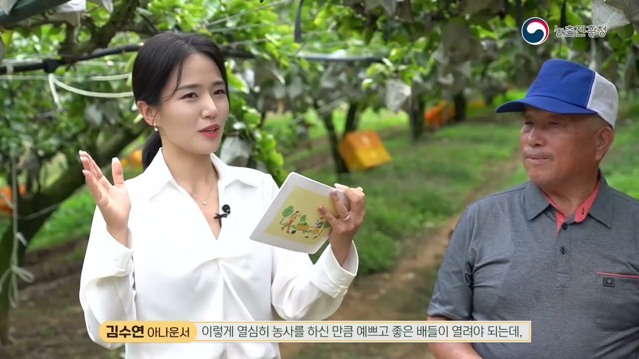 배나무 과수 접목 방법 알아볼까요~? [농업기술동영상]