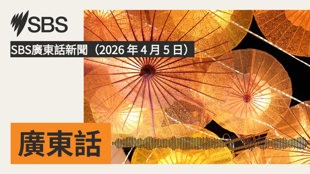 SBS廣東話新聞（2026 年 4 月 5 日） | SBS Cantonese - SBS廣東話節目