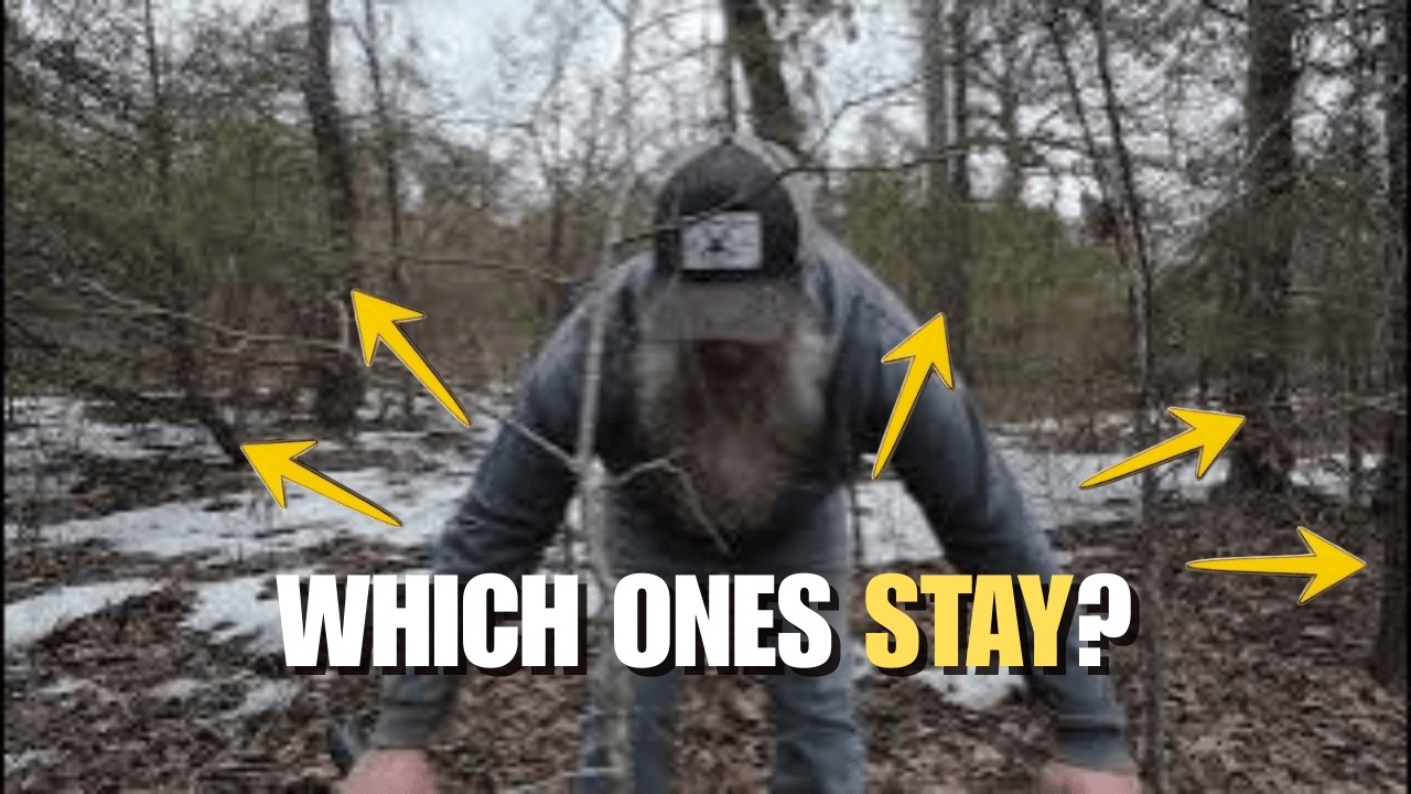 The Mud Never Ends! | Starting the New Horse Paddock